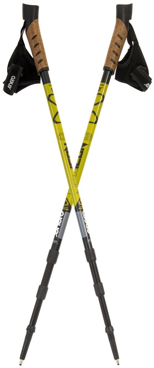 Палки для скандинавской ходьбы Enero Nordic Walking NewIcon