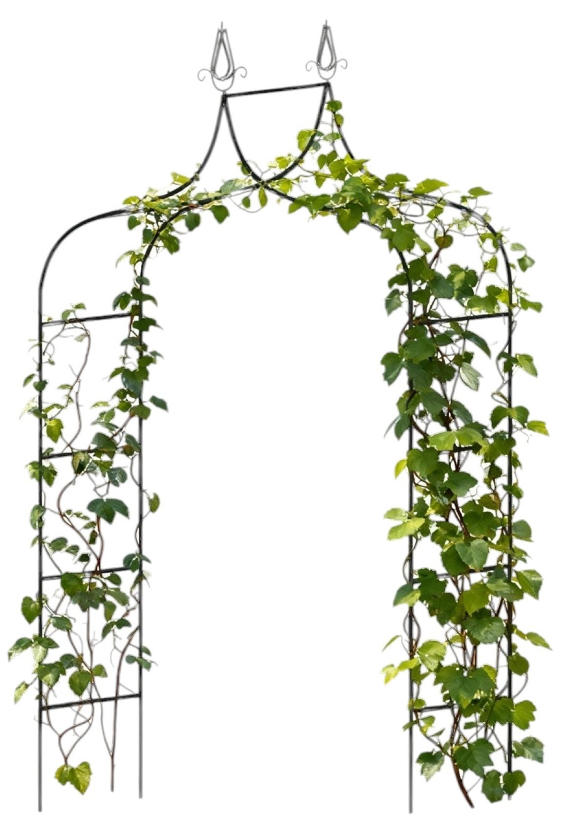 Арка для растений GardenLine PERG-N6078
